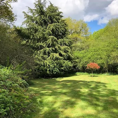 Forestry Cottage. Hot Tub, Open Fire, Dog Friendly Gaywood Exterior photo