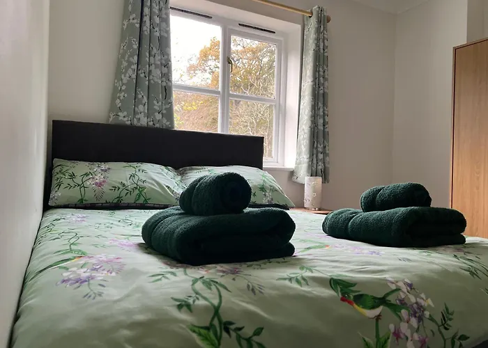 Forestry Cottage. Hot Tub, Open Fire, Dog Friendly