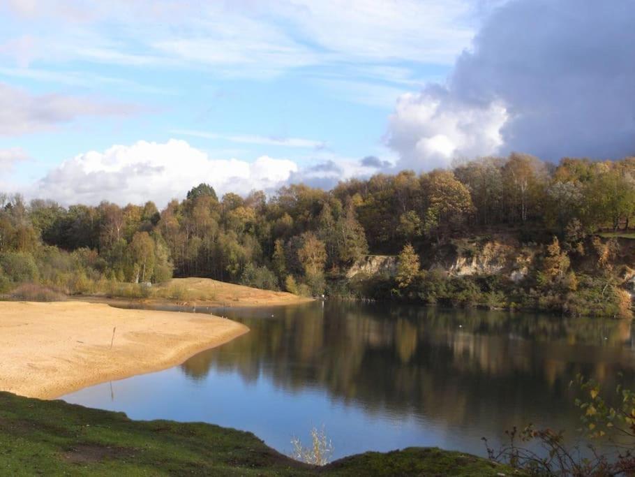 Holiday home Forestry Cottage. Hot Tub, Open Fire, Dog Friendly