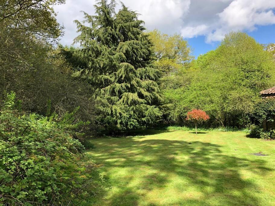 Forestry Cottage. Hot Tub, Open Fire, Dog Friendly *