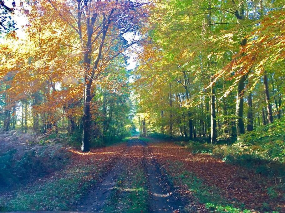 Forestry Cottage. Hot Tub, Open Fire, Dog Friendly Holiday home Gaywood