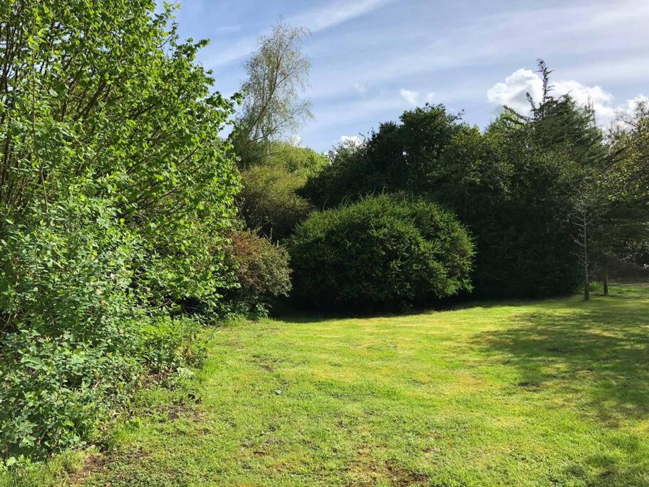 Forestry Cottage. Hot Tub, Open Fire, Dog Friendly Holiday home