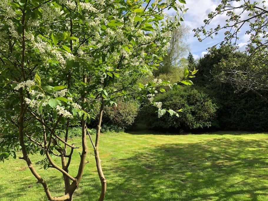 Forestry Cottage. Hot Tub, Open Fire, Dog Friendly * Gaywood