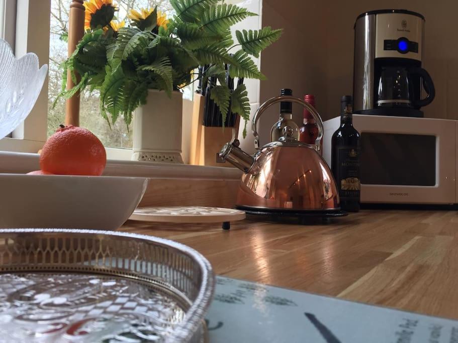 Holiday home Forestry Cottage. Hot Tub, Open Fire, Dog Friendly