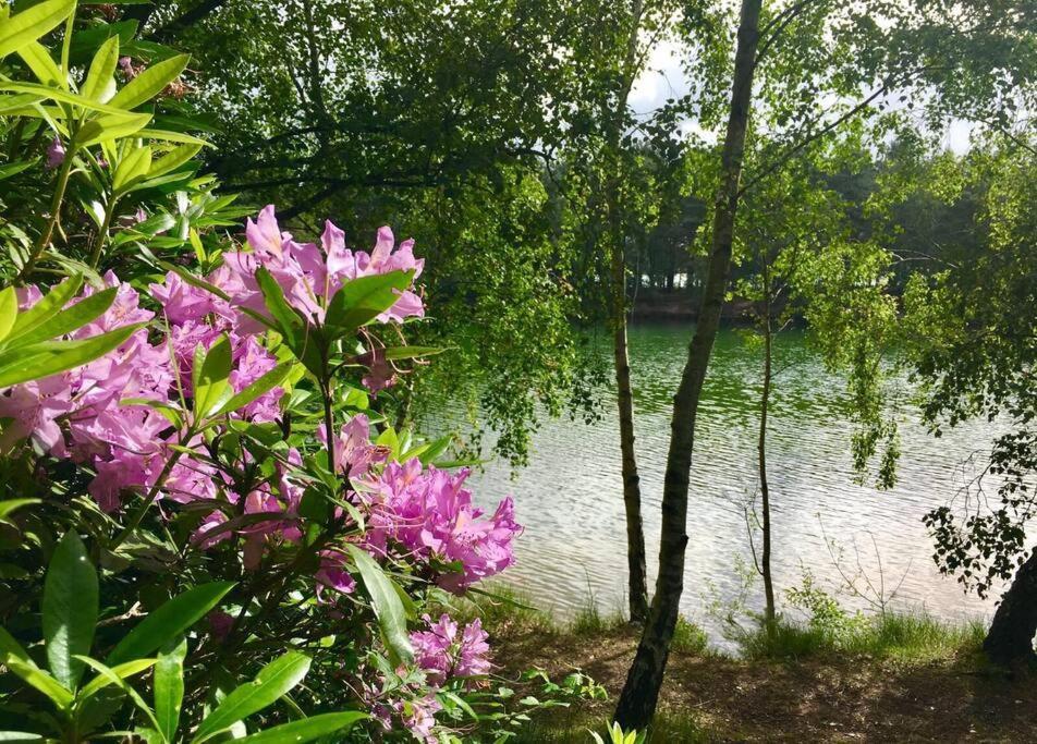 Holiday home Forestry Cottage. Hot Tub, Open Fire, Dog Friendly Gaywood