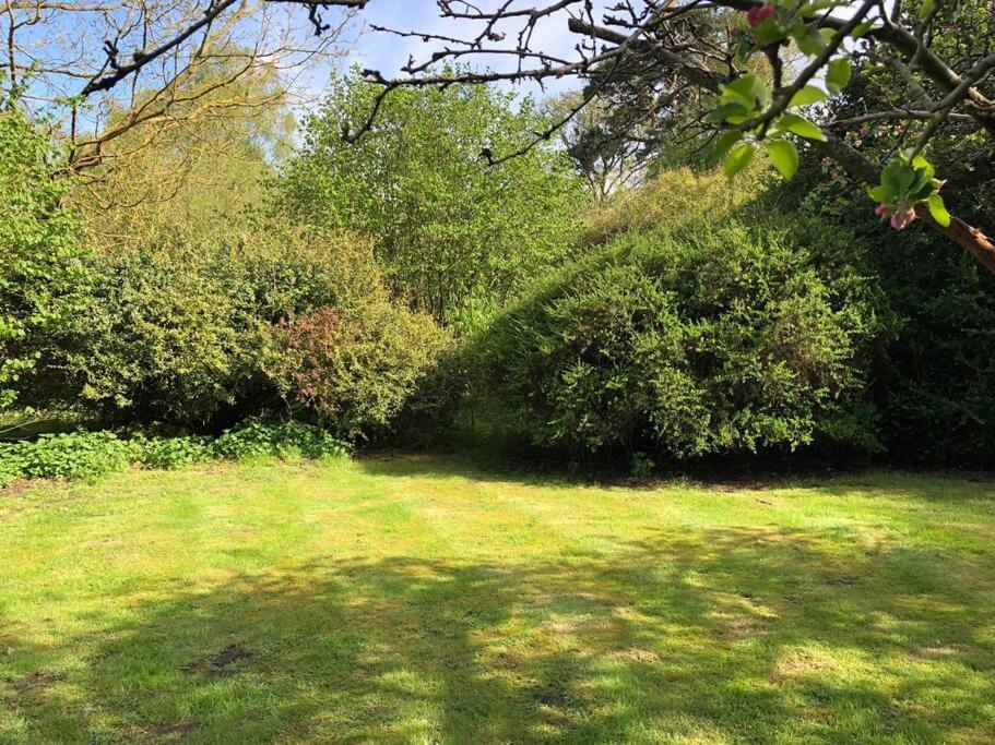 Holiday home Forestry Cottage. Hot Tub, Open Fire, Dog Friendly