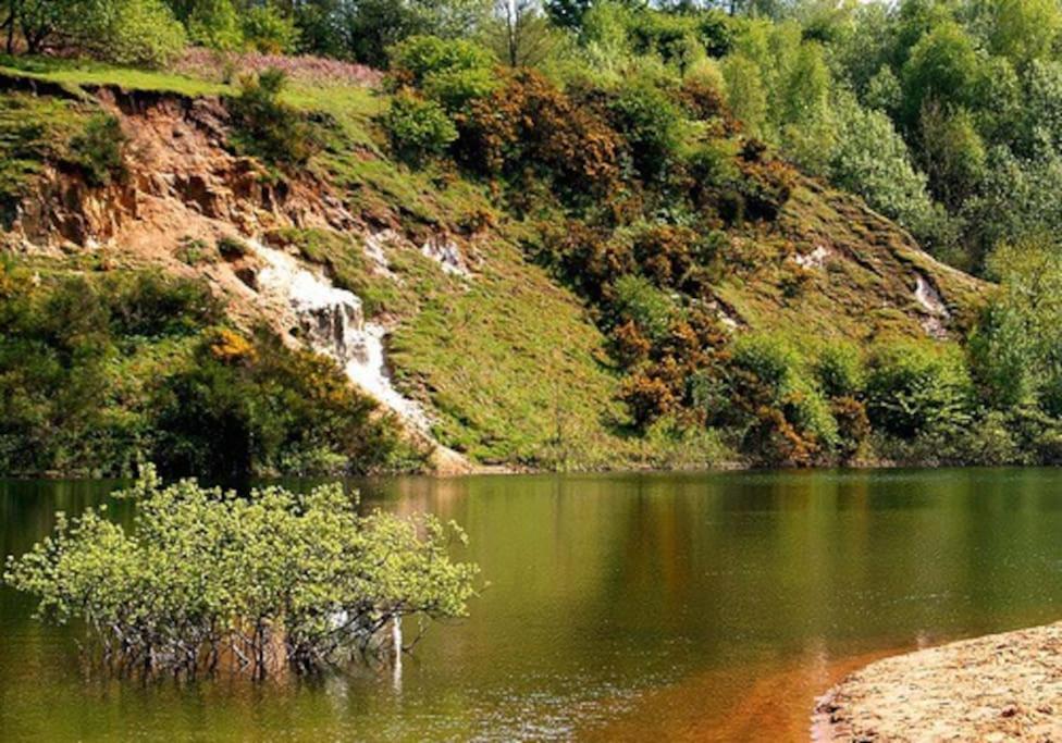 Holiday home Forestry Cottage. Hot Tub, Open Fire, Dog Friendly
