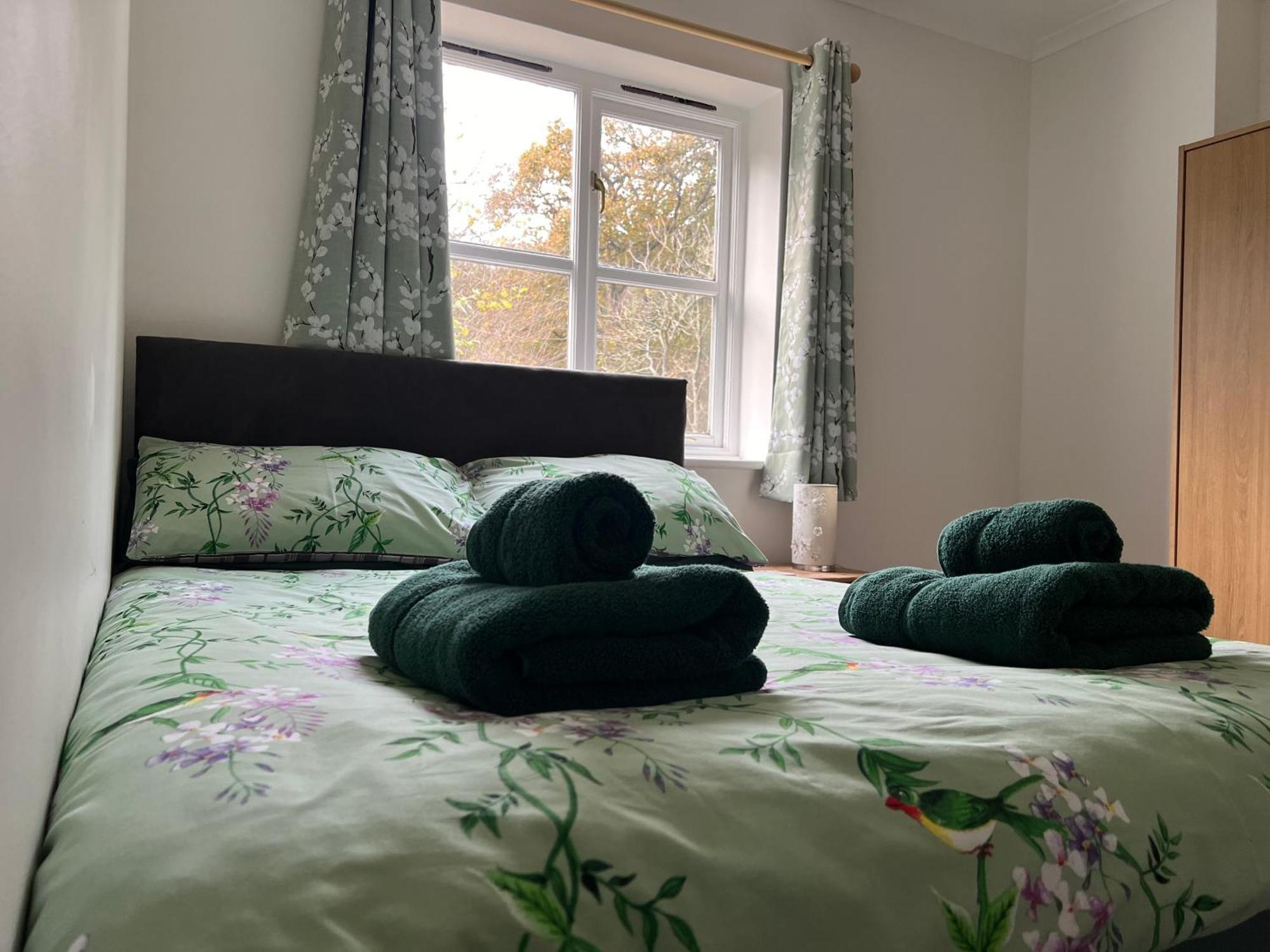 Holiday home Forestry Cottage. Hot Tub, Open Fire, Dog Friendly